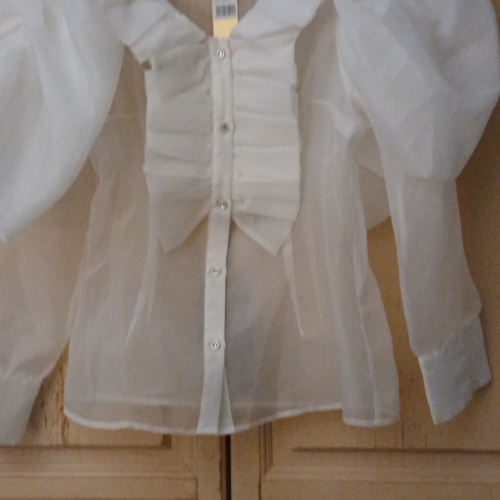 Chic White Sheer Blouse